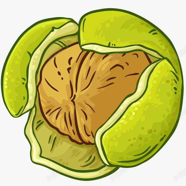 青皮核桃png免抠素材_88icon https://88icon.com 核桃 核桃特写 绿色 青皮 青皮核桃免抠PNG 鲜果