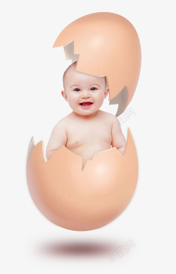 蛋壳里的宝宝素材
