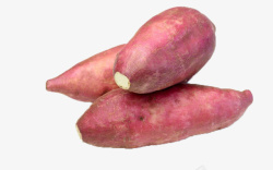地瓜红薯番薯素材