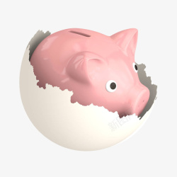 蛋壳里面的陶瓷小猪存钱罐素材