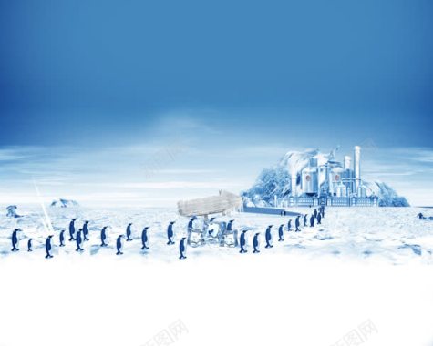 北极成群成对的企鹅背景
