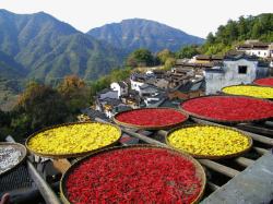 婺源风景区江西婺源风景区高清图片