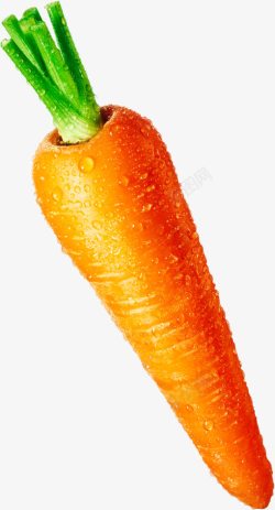 胡萝卜素带水珠的胡萝卜高清图片