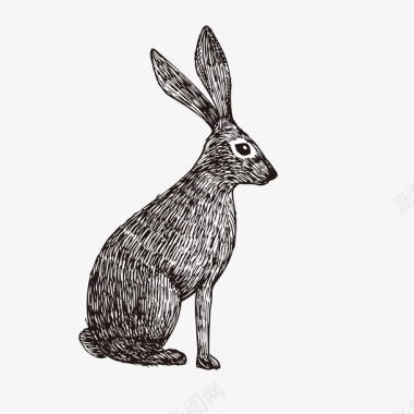 png铅笔画兔子矢量图图标图标