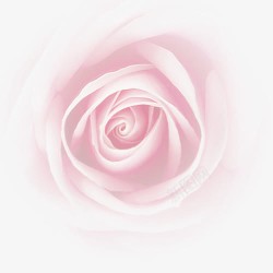 创意合成粉红色的玫瑰花效果素材