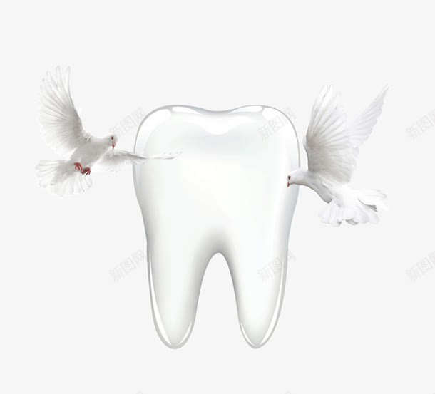 健康洁白牙齿png免抠素材_88icon https://88icon.com 健康 口腔 洁白 爱牙日 牙齿 鸽子