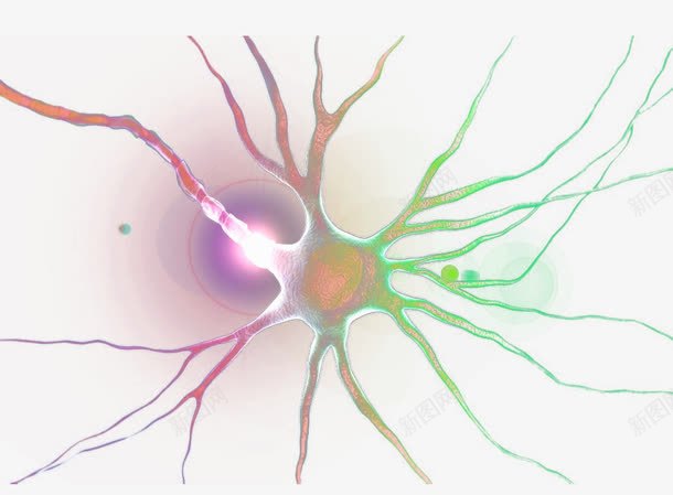 神经系统神经元示意图png免抠素材_88icon https://88icon.com 中枢神经系统 人体组织 神经 神经元 神经系统 神经结构