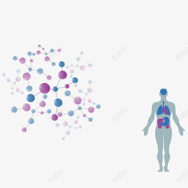 生物学分析png免抠素材_88icon https://88icon.com 人体器官 人体系统 医学 卡通 球棍模型 生物学