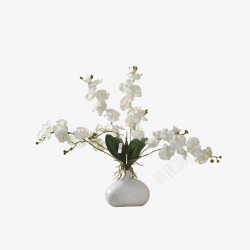 家装室内摆件装饰品花瓶素材