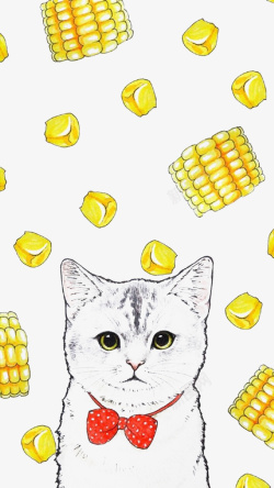 玉米海报可爱猫咪高清图片
