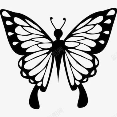 蝴蝶翅膀蝴蝶翅膀上有精美的观点图标图标
