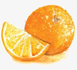 赣南脐橙素材