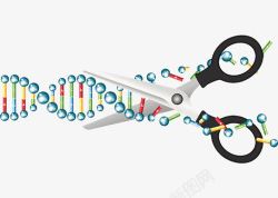 剪刀DNA分子素材