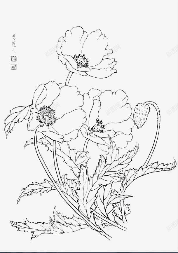 花朵线稿png免抠素材_88icon https://88icon.com 免费下载 单线稿 线框图 线稿 花 花朵