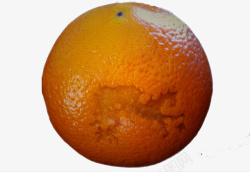 带疤的橙子素材