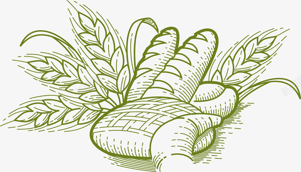 绿色农产品logo插画矢量图图标图标