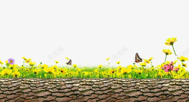 树干菊花装饰psd免抠素材_88icon https://88icon.com 枯萎 树干 树皮 草丛 菊花 菊花装饰图案 蝴蝶 野菊花