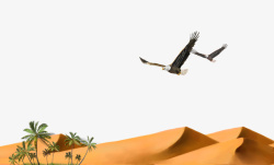 沙漠孤鹰素材