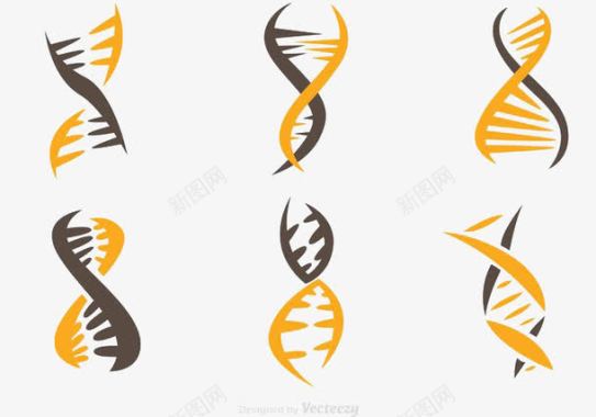 其他生物双人间螺旋图标图标