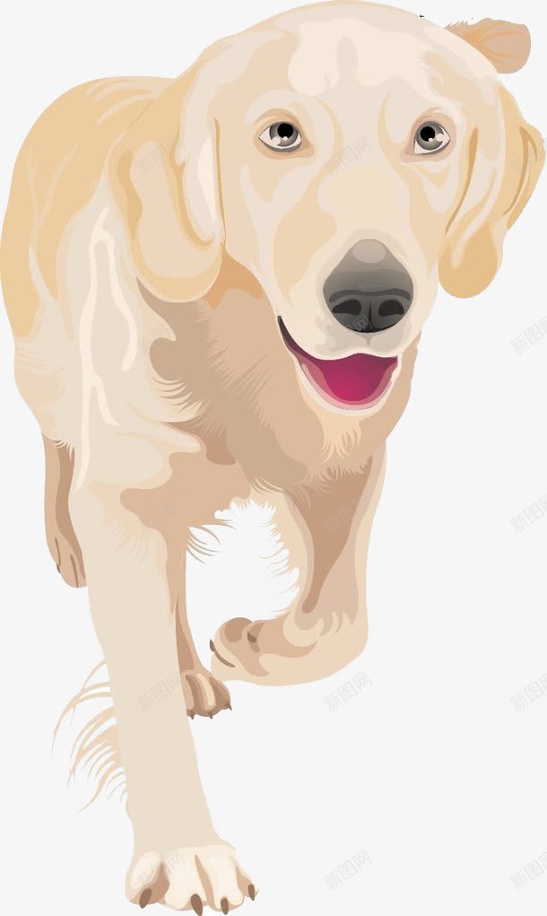 手绘导盲犬png免抠素材_88icon https://88icon.com 善良导盲犬 导盲犬 手绘导盲犬金毛 手绘黄色导盲犬 金毛 黄色狗狗