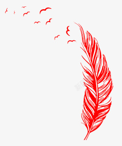 飘飞的羽毛红色飘飞的羽毛高清图片