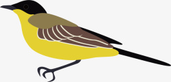 黄色小鸟可爱的麻雀矢量图高清图片