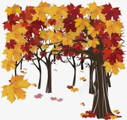 秋天的树林素材