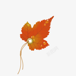 枫叶标签矢量秋季创意枫叶促销标签高清图片