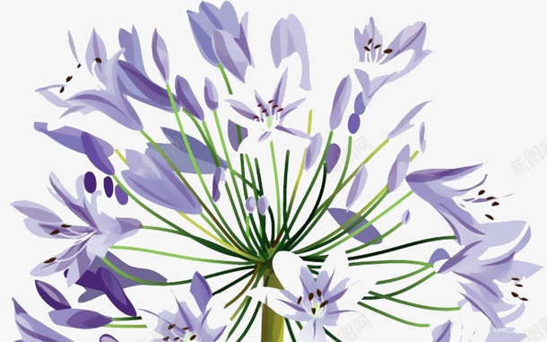 绽放的紫罗兰png免抠素材_88icon https://88icon.com 手绘 手绘紫罗兰 植物 紫罗兰 紫色 绿色 美丽 花朵 芳香