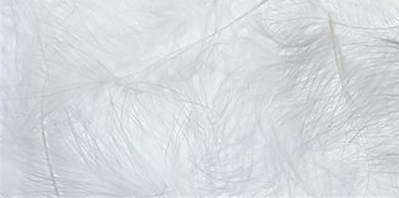 羽毛平铺背景简洁白色背景H5背景jpg设计背景_88icon https://88icon.com 白色 白色羽毛 白色背景 简洁 简洁背景 羽毛 背景 背景简洁