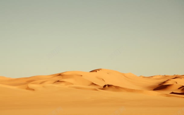 沙漠干枯宽屏背景背景