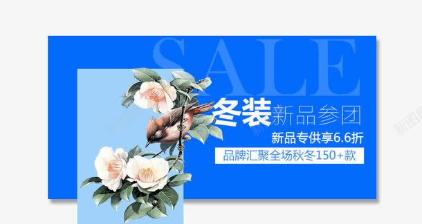 冬装新品参团png免抠素材_88icon https://88icon.com 冬装主图 双十二 双十二图片 小鸟 淘宝 淘宝图片 淘宝库 鲜花