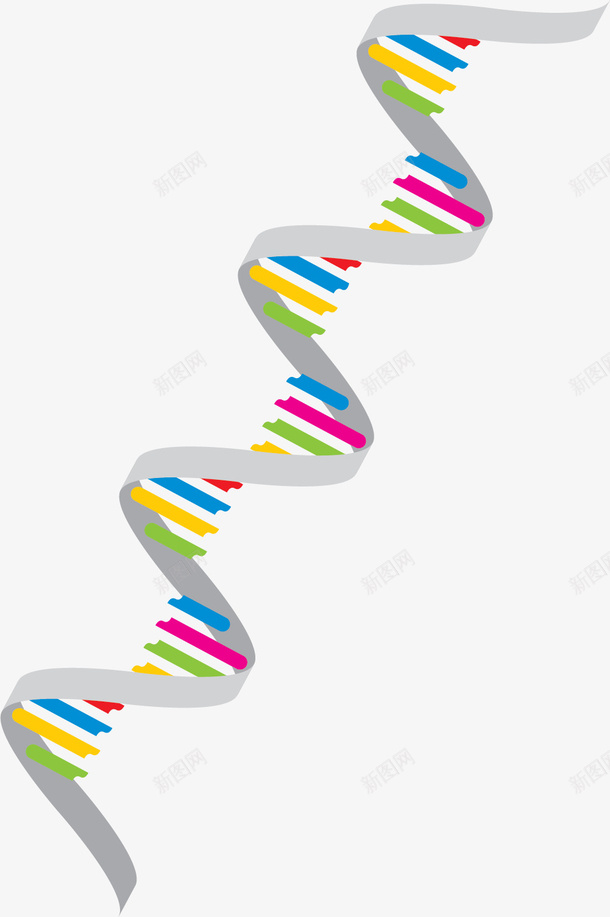 灰色双螺旋DNApng免抠素材_88icon https://88icon.com DNA DNA分子 DNA双螺旋结构图片 卡通DNA 卡通风格 灰色 矢量DNA