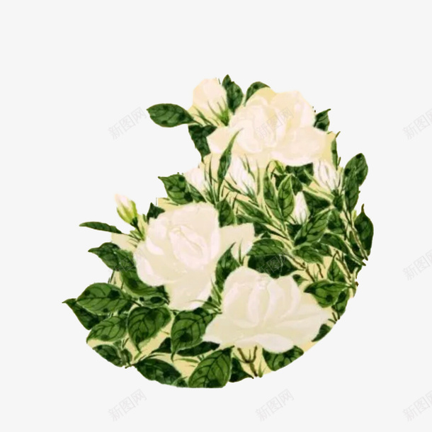 栀子花开png免抠素材_88icon https://88icon.com 一簇 栀子花叶 栀子花叶子 清新自然 白花 绿叶 迷人芬芳