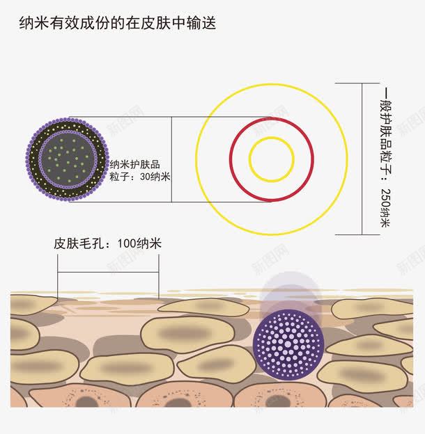 纳米有效成分的在皮肤中输送示意png免抠素材_88icon https://88icon.com 免抠图 医疗 效果图 纳米 纳米有效成分的在皮肤中输送 纳米有效成分的在皮肤中输送示意图免费下载 装饰图 装饰画