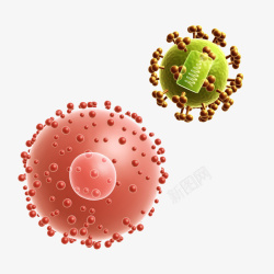 病毒颗粒免抠PNG艾滋病毒颗粒立体插画高清图片