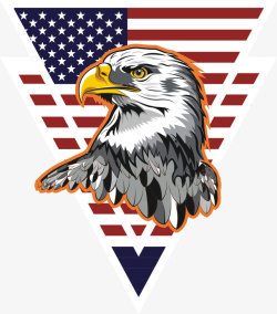 美国标志美国星条旗白头鹰高清图片