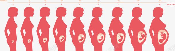 女性怀孕孕期图png免抠素材_88icon https://88icon.com 孕期 怀孕 怀胎十月 矢量素材