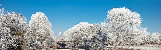 雪景背景图jpg设计背景_88icon https://88icon.com 冷色调 树 雪