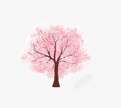 粉色整棵樱花树浪漫日本素材