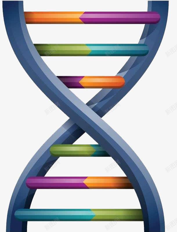 简约DNA基因链图形png免抠素材_88icon https://88icon.com DNA双螺旋 医疗 可爱 基因 实验 科研 遗传
