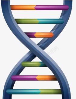 简约DNA基因链图形素材