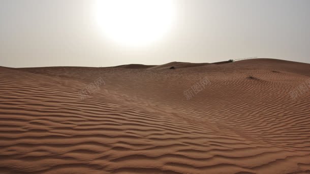 辽阔的沙漠海报背景jpg设计背景_88icon https://88icon.com 沙漠 海报 背景 辽阔