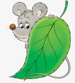 小动物老鼠拿着树叶的小老鼠高清图片