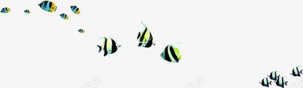 成群结队的鱼png免抠素材_88icon https://88icon.com 成群结队 海底世界 热带鱼 鱼