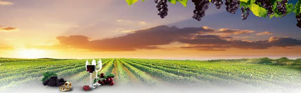 唯美葡萄酒庄园海报背景jpg设计背景_88icon https://88icon.com 庄园 海报 背景 葡萄酒