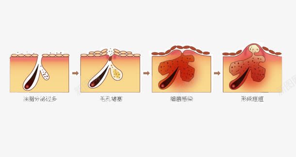 皮肤清洁png免抠素材_88icon https://88icon.com 护肤品 洗面奶 皮肤清洁