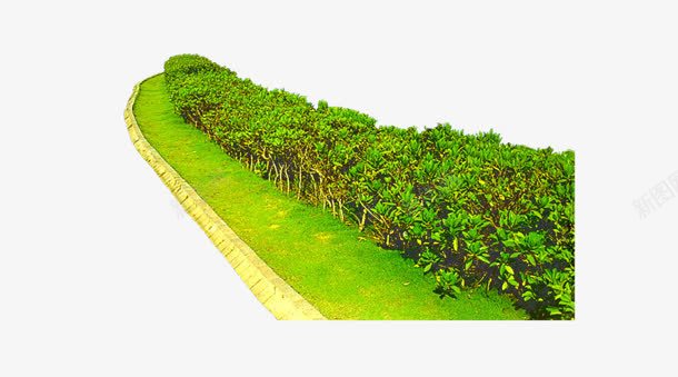 整齐的树林海报背景png免抠素材_88icon https://88icon.com 整齐 树林 海报 背景