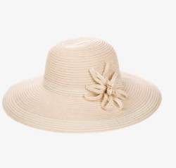 时尚的优雅韩版潮大沿草编沙滩帽高清图片