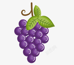 卡通手绘紫色的葡萄素材